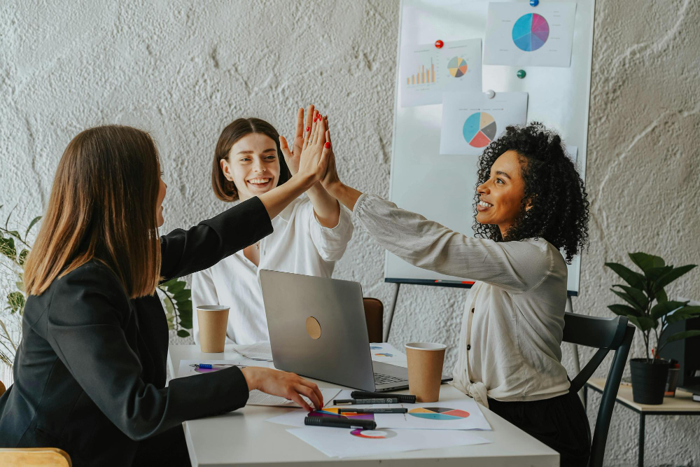 validar-la-confiabilidad 